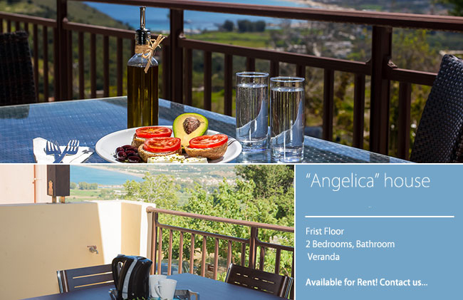 ANGELICA HOUSE