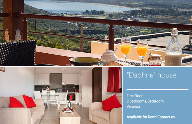 DAPHNE HOUSE