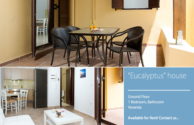 EUCALYPTUS HOUSE