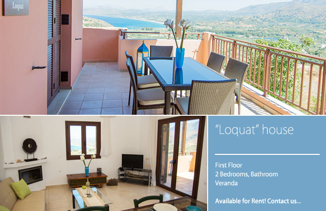 LOQUAT HOUSE
